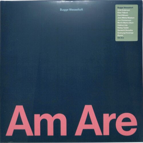 Bugge Wesseltoft - Am Are 2LP EU NEW
